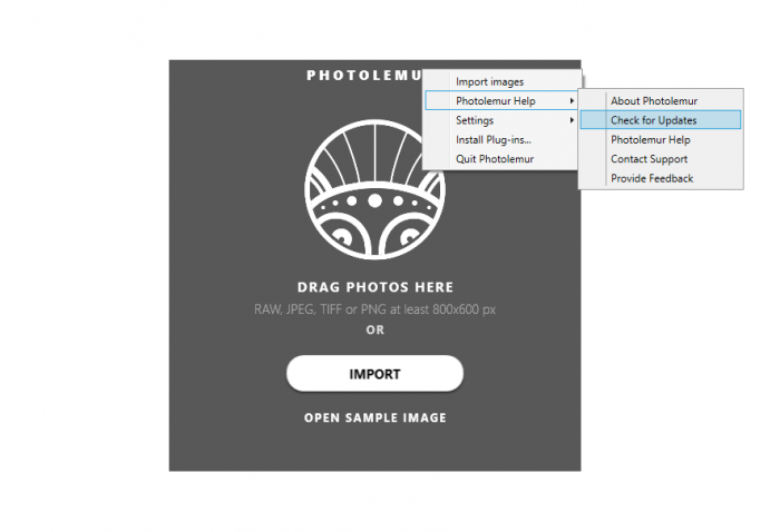 Checking for new versions of Photolemur