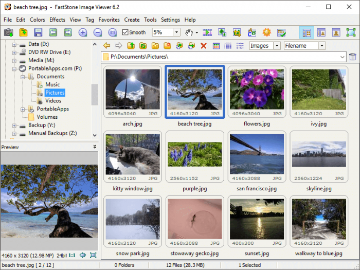 photo management software