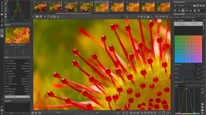 photolemur free download