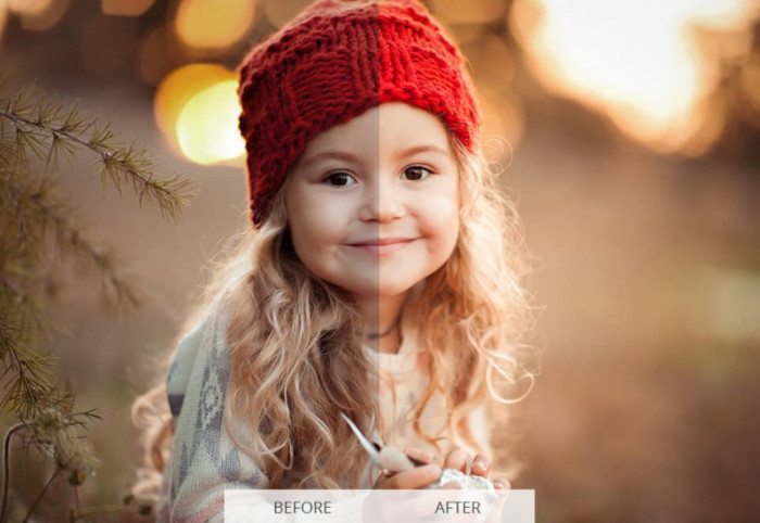 best lightroom portrait presets